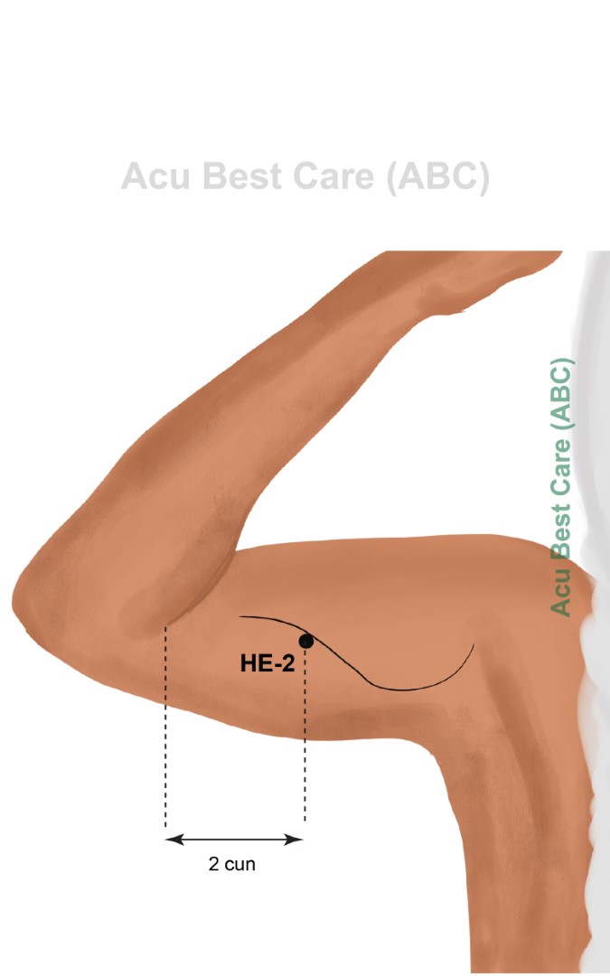 Acubestcare Meridian H-02 or HE-02